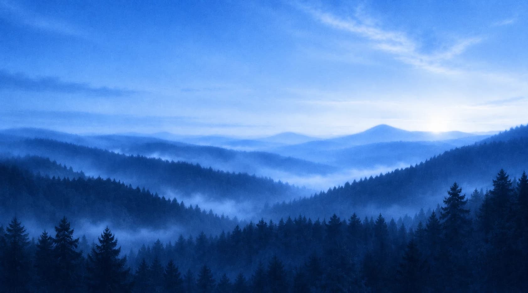 Nebelverhangene Schwarzwaldlandschaft bei Sonnenaufgang.